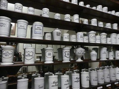 Thực Tập Sinh Tư Vấn Sản Phẩm Sức Khoẻ Tại TP.HCM - Công ty TNHH Tư Vấn Dịch Vụ Chồi Xanh